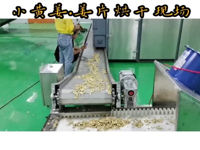 科技赋能传统农业 果蔬与药材的智净烘干之路